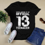 13 Nager 13th Birthday Boy Girl 2 T Shirt