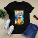 Admit It Life Would Be Boring Without Me Golden Retriever With Santa Hat for Christmas 4 T Shirt