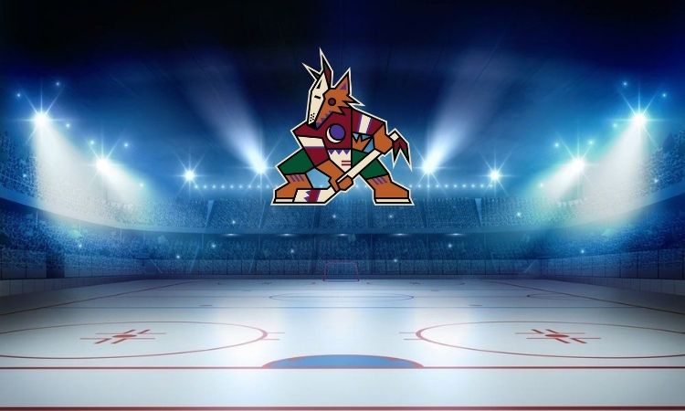 Arizona Coyotes