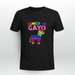 Cinco De Gayo Mayo LGBT Pinata Gay Pride funny 4480 T Shirt