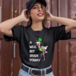 Flamingo Leprechaun St Patricks Day Irish 1 T Shirt