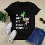 Flamingo Leprechaun St Patricks Day Irish 3 T Shirt