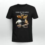 Foxes Of The World Funny Fox 4 T Shirt