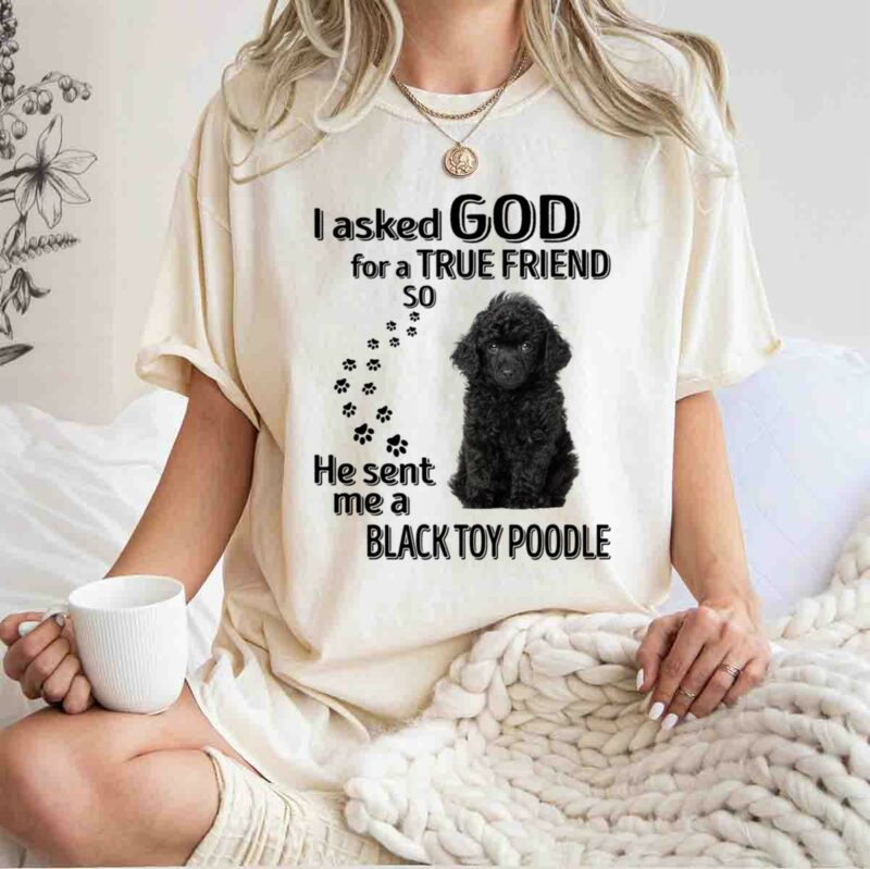 I Asked God For A True Friend So He Sent Me A Toy Poodle 0 T Shirt