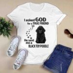 I Asked God For A True Friend So He Sent Me A Toy Poodle 3 T Shirt
