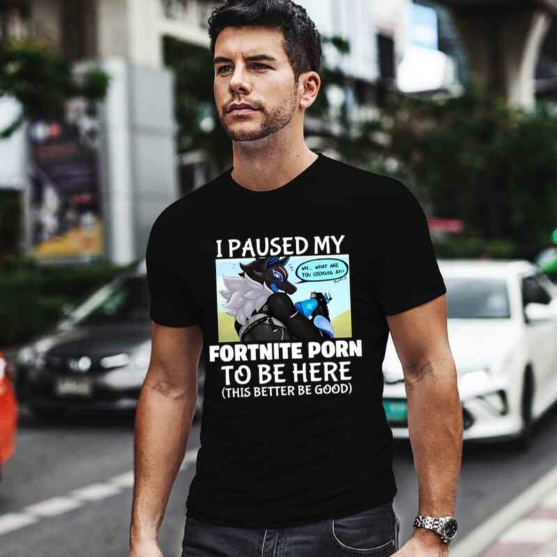 I Paused My Fortnite Porn To Be Here 0 T Shirt