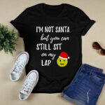 Im Not Santa But You Can Still Sit On My Lap 3 T Shirt