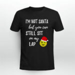 Im Not Santa But You Can Still Sit On My Lap 3785 T Shirt