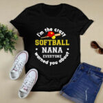 Im The Crazy Softball Nana Everyone Warned You About 4 T Shirt