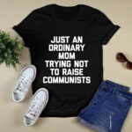 Just An Ordinary Mom Trying Not To Raise Communists Funny 3 T Shirt
