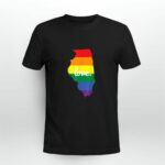 LGBT Gay Pride Illinois Love 2 T Shirt