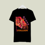 Megan Thee Stallion 2 3 T Shirt