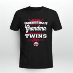 Never Underestimate A Grandma Who Is Also A Twins Fan 2 T Shirt