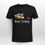Not Today Puppy Cute Corgi Dog Lover 2 T Shirt