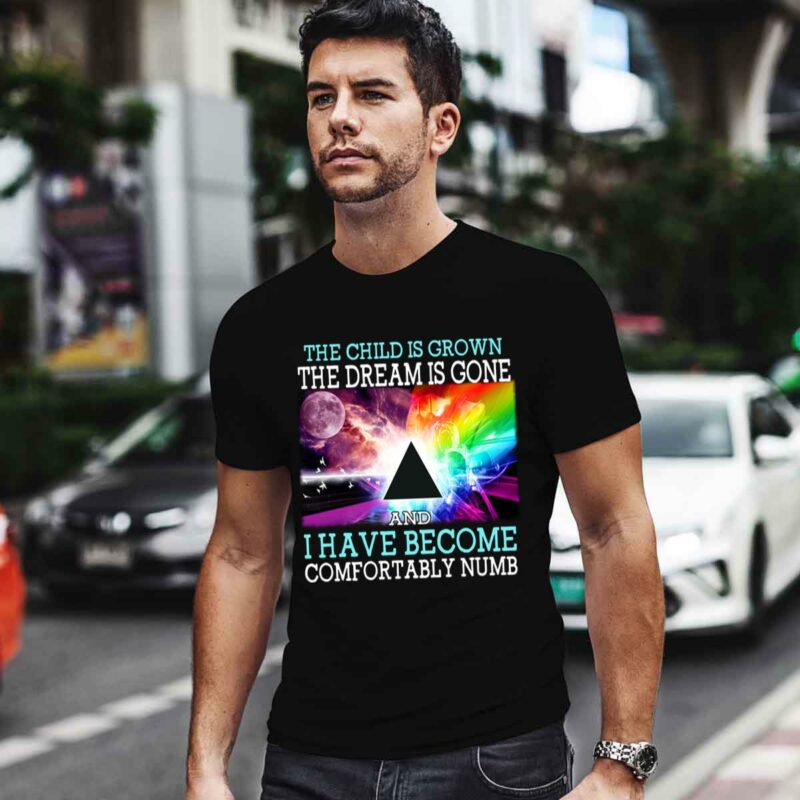 Pink Floyd The Child Is Grown The Dream Is Gone And I Have Become Comfortably Numb 0 T Shirt