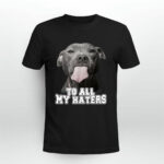 Pitbull to all my haters 3 T Shirt
