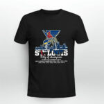 St Louis Cardinals St Louis Blues st Louis City Of Champions 2 T Shirt