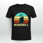 Vintage Retro Style Sunset Mandrill 2 T Shirt
