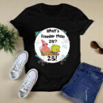 Whats Funnier than 24 3 T Shirt