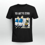You Cant Fix Stupid Funny Detroit Lions 4 T Shirt