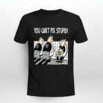 You Cant Fix Stupid Funny Oakland Raiders 3 T Shirt