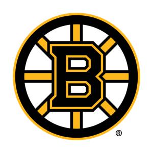 boston bruins